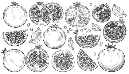 Hand-drawn pomegranate fruit collection, whole and sliced, with seeds and leaves, in a detailed sketch style.