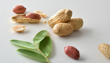 Detail of peanuts on a white bench