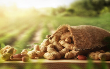 Sack full of peanuts on wooden table with background harvest