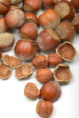 Gemeiner Hasel, Haselnuss Corylus avellana