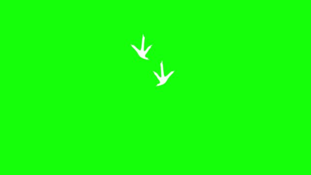 Animation of chicken footprints walking on a green screen background. Chicken footprints show recorded footprints. Video of a black chicken walking.