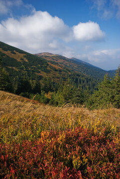 View of autumn's touch paints the landscape with fiery reds and golden yellows in a serene mountain scene, Jasenie, Banska Bystrica Region, Slovakia.