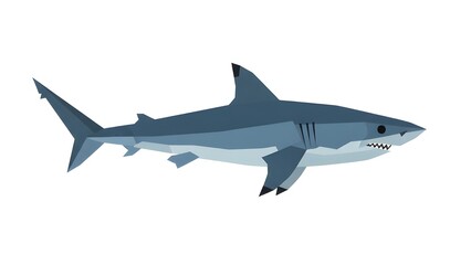 Obraz premium Shark illustration: An artistic representation of a sleek shark gracefully gliding through the aquatic world, a symbol of power and the enigmatic depths of the sea.