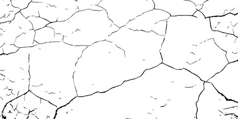 High-contrast cracked texture on a white background, featuring organic fracture lines and distressed surface details. Perfect for abstract backgrounds, grunge design, overlays, and artistic effects.