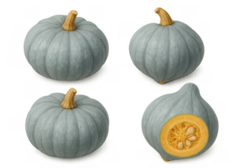 Blue pumpkin or squash set featuring whole and cut versions with seeds, isolated on transparent background