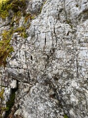 bark of stone