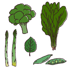手描きの野菜セット　緑色の野菜