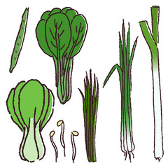 手描きの野菜セット　葉物野菜など