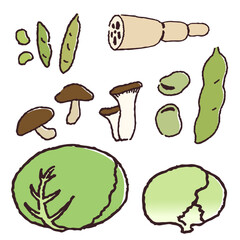 手描きの野菜、豆類、きのこ類
