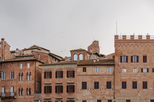 View of a vibrant skyline defined by sun-baked terracotta buildings with dark window shutters, a timeless architectural tapestry against a soft sky, Siena, Tuscany, Italy.