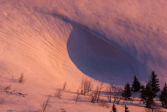 View of sun-kissed snow blankets the slopes, casting shadows on the undulating terrain, with evergreens standing guard, Rovna hola, Banskobystricky kraj, Slovakia.
