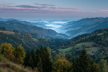 Obraz premium misty valley in autumn mountains at sunrise