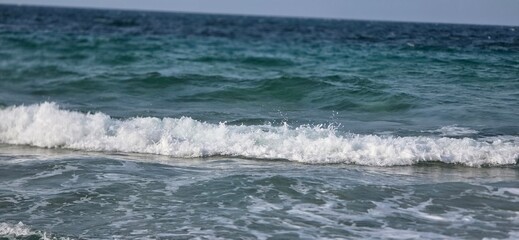 Sea Rocks, Sea Weeds, and Sea Shells on the Alexandria Seashore with Waves, A natural coastal scene from the Alexandria seashore featuring sea rocks, sea weeds, and scattered sea shells