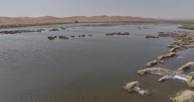 Aerial view of oasis landscape in desert