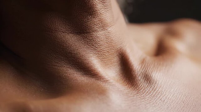 Close-up of Neck Skin Texture Showing Natural Detail, Human Anatomy, Macro View, Soft Lighting, Health Concept