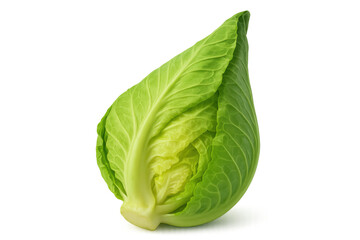 Fresh pointed cabbage for healthy eating, raw green vegetable promoting diet and organic food isolated