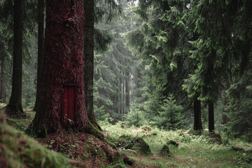 Enchanted forest scene with a small red door nestled in the trunk of a large tree surrounded by lush green foliage and a mystical atmosphere