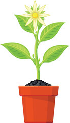 A small plant is in a red pot