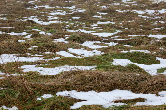 A close-up view showing a natural winter or early spring field landscape, covered in clumps and swathes of dry, brown, and green grass interspersed with uneven patches of thin snow cover.