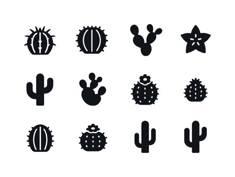 Cactus Icons Collection. cactus varieties. Solid icon set of cac