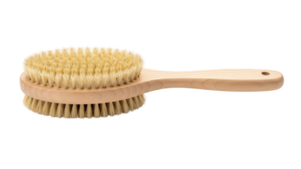 Double-sided natural bristle wooden body brush for bathing and exfoliating skincare routine isolated on transparent background