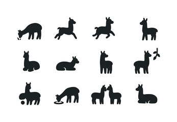 Naklejka premium Alpaca Activity Icons. Alpaca activities. Solid icon set of alpa