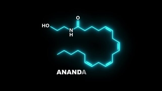 neon Anandamide Molecule Structure on black Background. glowing formula of Anandamide. Anandamide Molecular Structure Symbol icon Animation. Anandamide Molecule Structure icon.