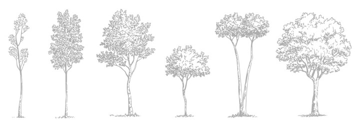 Obraz premium Minimalist CAD Tree Line Set Featuring Wetland Forest Section Outlines and Landscape Design Elements in Clean Vector Illustration for Architectural Drawings