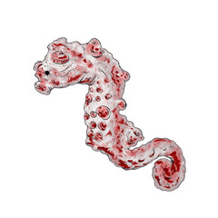 Illustration of a small red seahorse