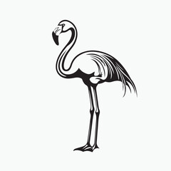 Fototapeta premium flamingo vector illustration