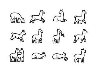 Naklejka premium Alpaca Activity Icons. Alpaca activities. Line icon set of Alpac