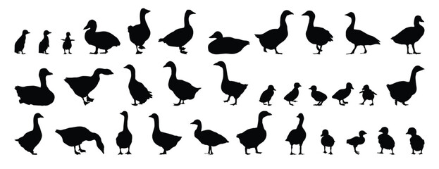 goose and gosling silhouette set. goose and gosling isolated farm animal silhouette icon vector collection © Yanka
