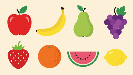 Vector set of fruit illustration