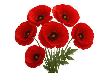 Obraz premium Red poppy flowers forming a vibrant bouquet, symbolizing remembrance and peace, isolated on a transparent background