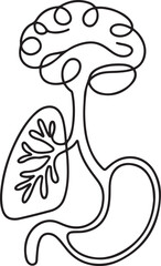 Fototapeta premium one line continuous drawing. Lungs, brain, stomach continuous .one line vector illustration with out background.