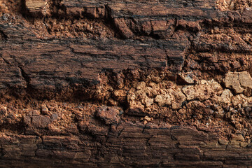 Fototapeta premium A detailed close up macro photograph of dry cracked dark brown wood grain showing texture and imperfections