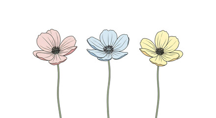 Delicate pastel anemone flowers with soft petals in pink, blue, and yellow, isolated on a white background, symbolizing spring and new beginnings