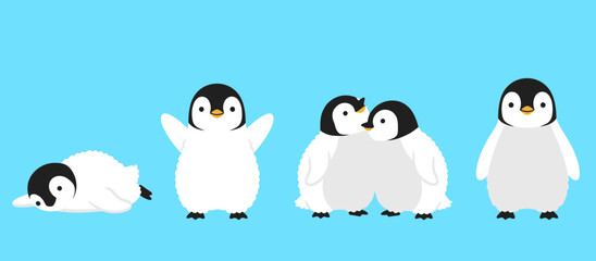 Adorable baby emperor penguin chick characters set posing in various cute ways isolated on blue background