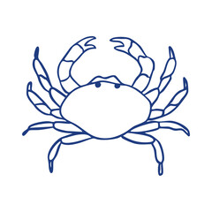 Crab in sketch style, with loose and irregular lines, hand-drawn in a doodle. 