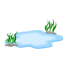 Cartoon Water Pond with Rocks and Seaweed