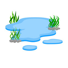 Cartoon Water Pond with Rocks and Seaweed