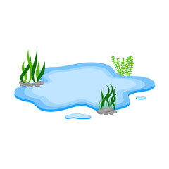 Cartoon Water Pond with Rocks and Seaweed
