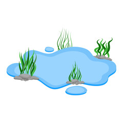 Cartoon Water Pond with Rocks and Seaweed