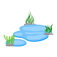 Cartoon Water Pond with Rocks and Seaweed