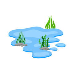 Cartoon Water Pond with Rocks and Seaweed