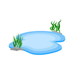 Cartoon Water Pond with Rocks and Seaweed