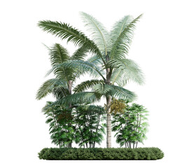 3d render tropical palm trees with dense green foliage on transparent background