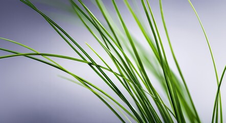 Naklejka premium Vibrant Green Blades on Soft Background A Perfect Image for Creative Projects and Designs.