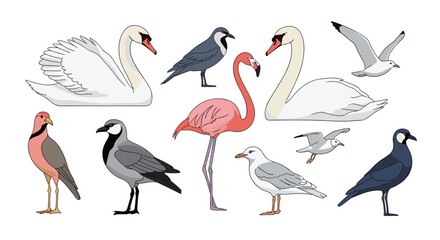 Obraz premium Collection of beautifully illustrated water birds including white swans, a pink flamingo, seagulls, and lapwings isolated on white background.
