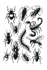 Image of Vector collection of vintage monochrome illustrations featuring various insects and arthropods like beetles, ants, and scorpions, suitable for biology, nature, and educational vector designs. printed on Printed Glass Splashbacks
